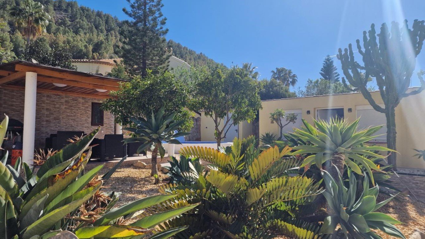 WhatsApp Image 2025-10-24 at 07.52.53