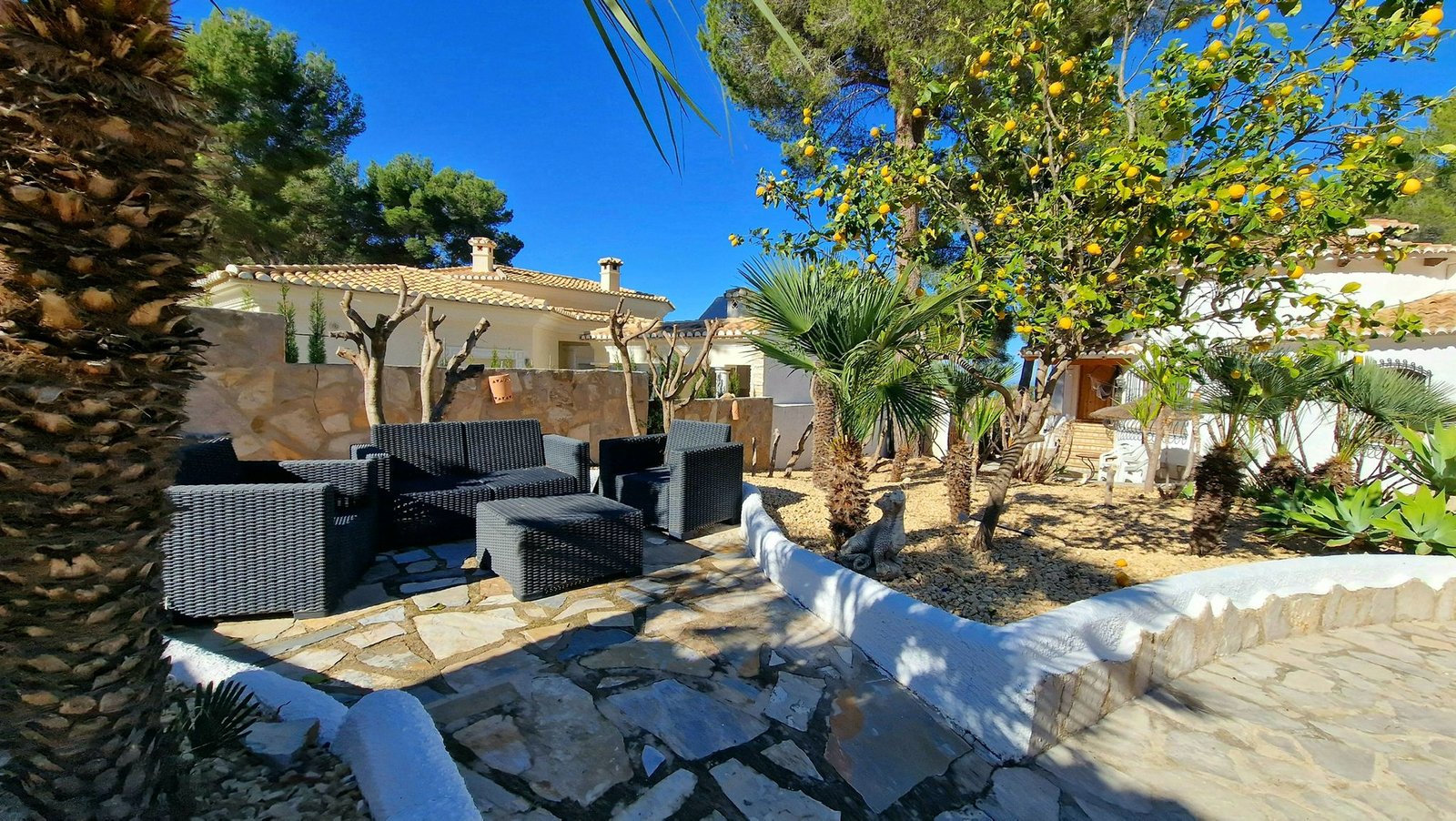 WhatsApp Image 2025-10-24 at 13.52.54 (1)