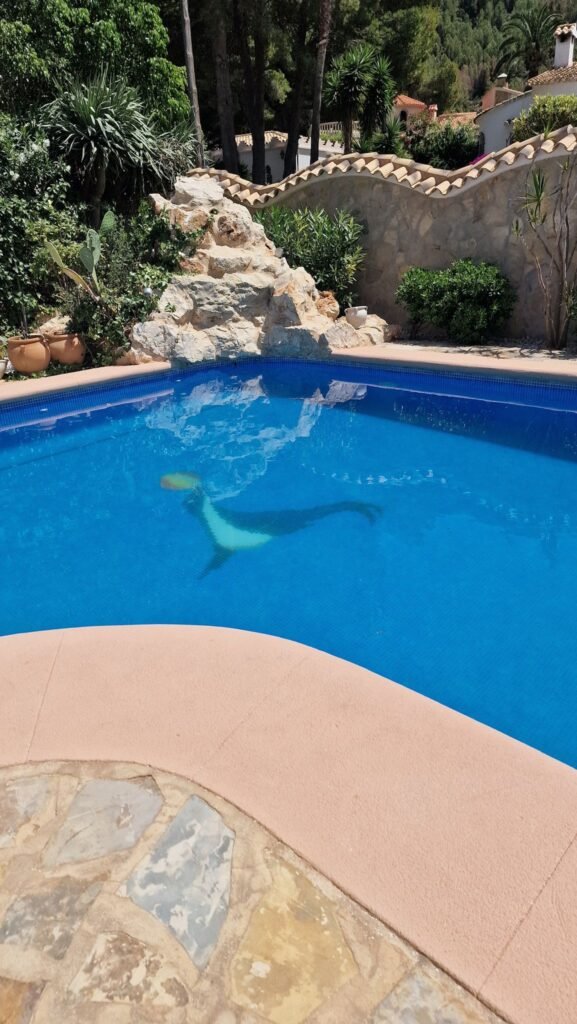 WhatsApp Image 2025-10-24 at 13.52.55 (2)