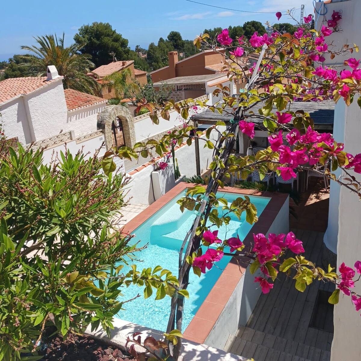 imgi_54_51ff5f38-5b29-40b7-b506-f124de1ca3c9