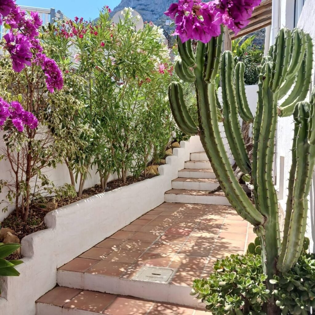 imgi_71_cfd6d2c4-baaf-40df-a6df-f758a880d740